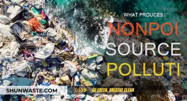 Understanding Nonpoint Source Pollution: Causes and Concerns