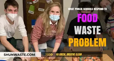 Combatting Food Waste: Innovative Solutions in Public Schools