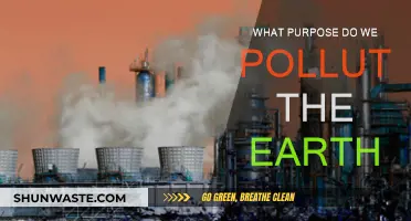 Human Impact: Earth's Pollution and Our Purpose