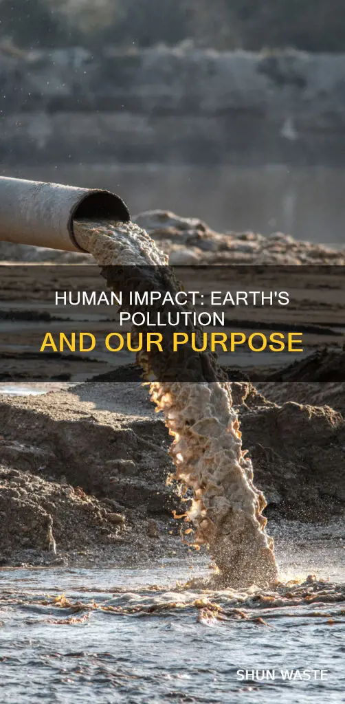 what purpose do we pollute the earth