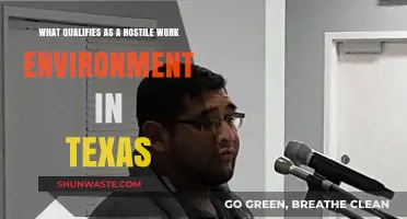 Understanding Hostile Work Environment Laws in Texas: Key Qualifications