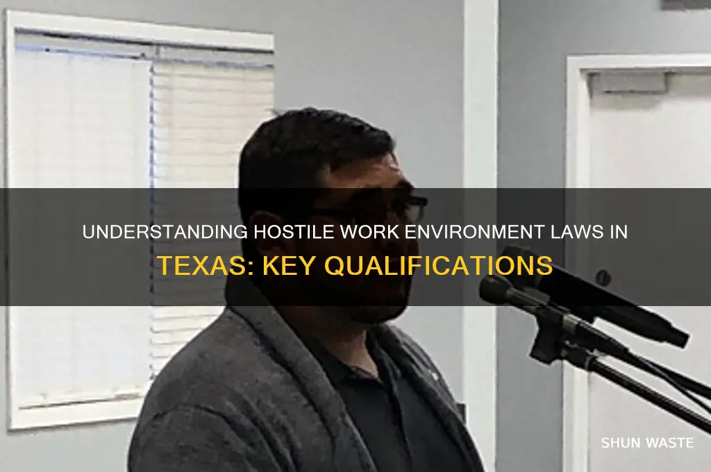 what qualifies as a hostile work environment in texas