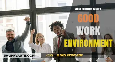 Cultivating Success: Key Qualities of a Thriving Work Environment