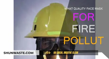 Protect Your Lungs: Face Masks for Fire Pollution