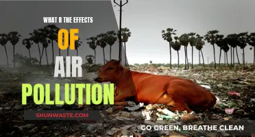 Air Pollution: Understanding Its Impact and Effects