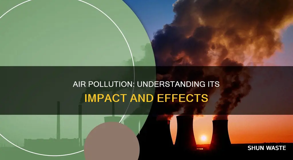 what r the effects of air pollution
