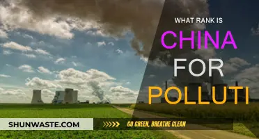 China's Pollution Ranking: A Troubling Distinction