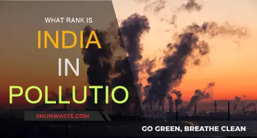 India's Pollution Crisis: A Global Ranking