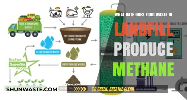 Decoding Methane Emissions: The Hidden Impact of Food Waste in Landfills
