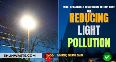 Light Pollution: Practical Tips for a Brighter Tomorrow