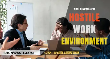Navigating Legal Options for Hostile Work Environment Recourse and Remedies