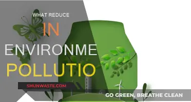 Green Solutions to Reduce Environmental Pollution