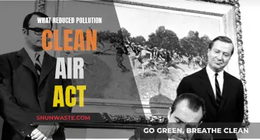 Clean Air Act: Reducing Pollution, Saving Lives