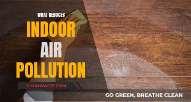 Strategies to Reduce Indoor Air Pollution at Home