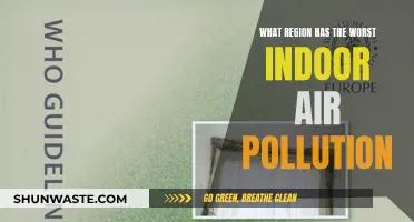Air Pollution's Worst Offenders: Regions with Poor Indoor Air Quality