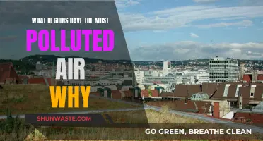 Air Pollution: Regions and Causes Explained