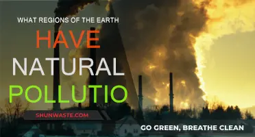 Natural Pollution: Regions of Earth's Unseen Crisis