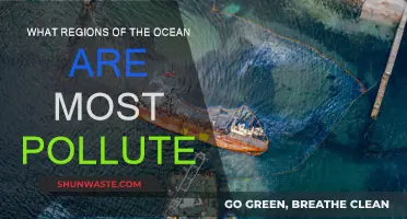 Ocean Pollution: Regions Most Affected by Human Impact