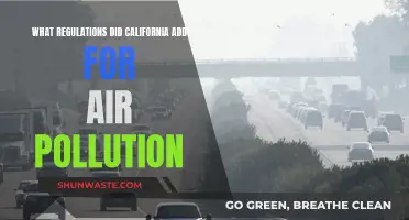 California's Air Pollution: Strict Regulations for Cleaner Air
