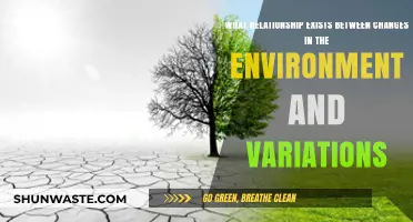 Environmental Shifts: Unraveling Their Impact on Natural Variations