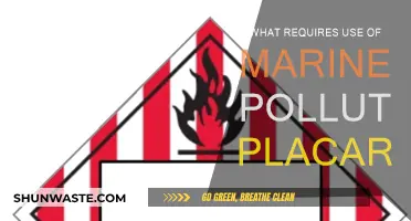 Understanding Marine Pollutant Placards: When and Why?