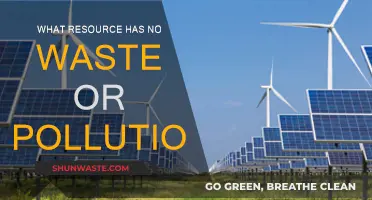 The Green Dream: Infinite Resources, Zero Pollution
