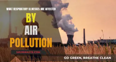 Air Pollution's Impact on Respiratory Illnesses Explained