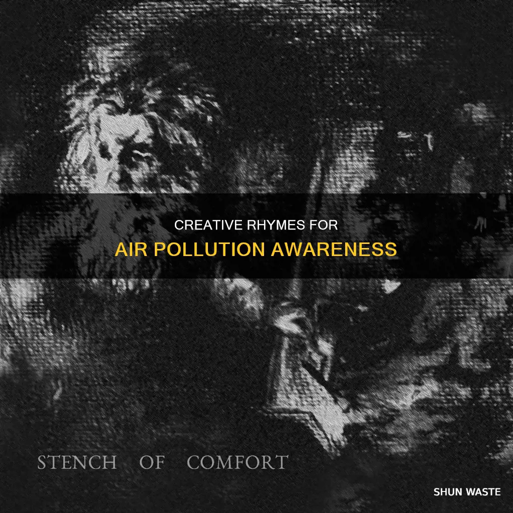 what rhymes with air pollution
