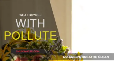 Rhymes With Pollute: Words That Won't Make You Mute