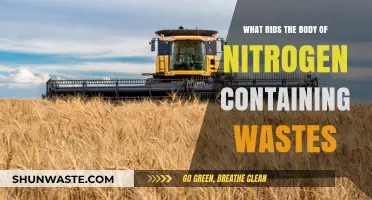 How the Body Eliminates Nitrogen Wastes: Processes and Pathways Explained