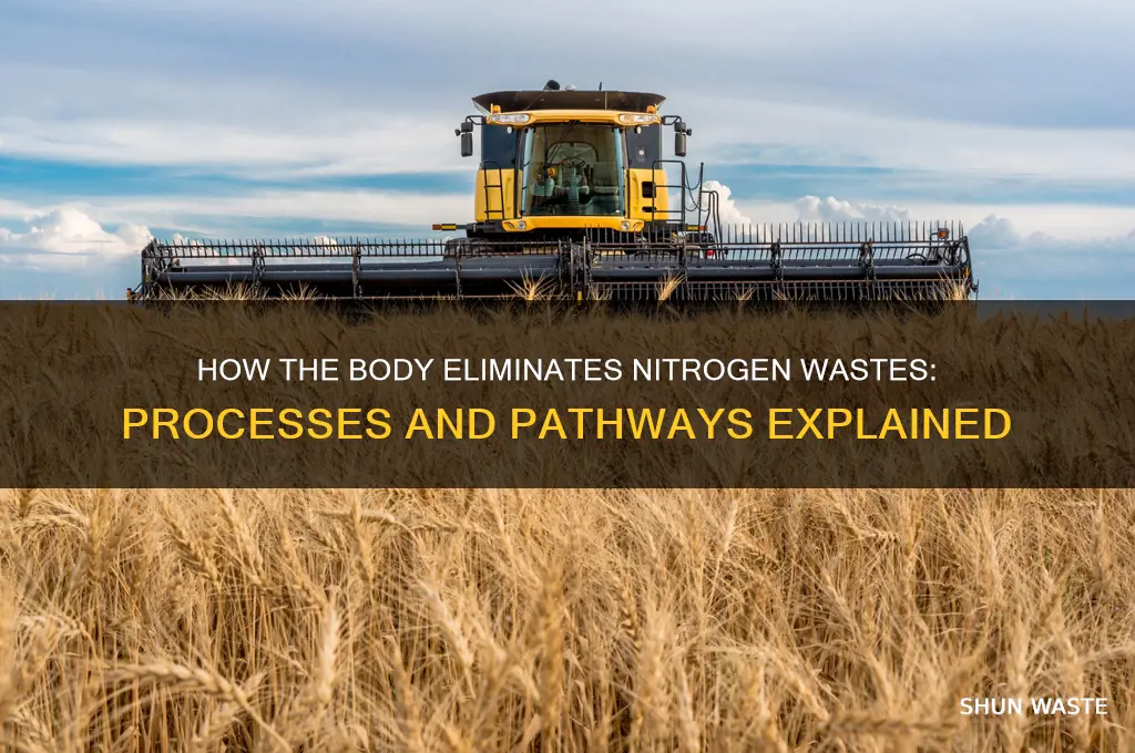 what rids the body of nitrogen containing wastes