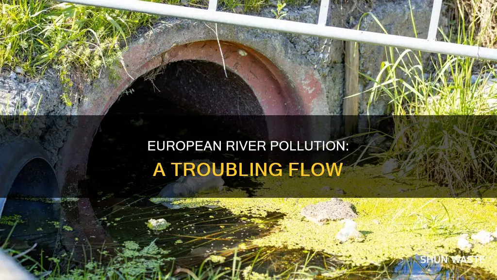 what river flows through mainland europe and is heavily polluted