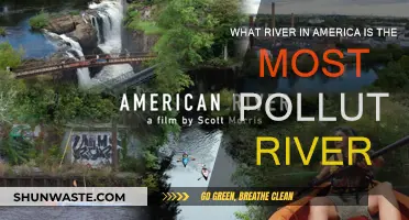 The Most Polluted River in America: A Troubling Story