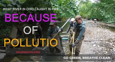Ohio's Burning River: Pollution's Impact