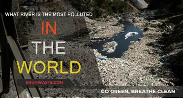 The World's Most Polluted River: A Toxic Legacy
