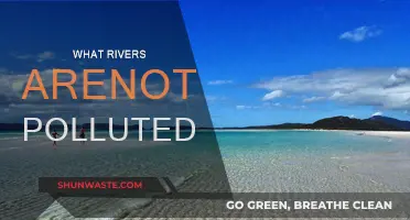 Pristine Rivers: Where Nature Still Shines