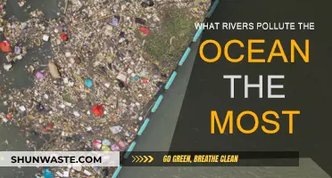 Rivers Polluting the Ocean: The Worst Offenders