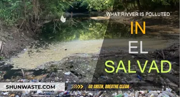 El Salvador's Polluted River: A Troubling Environmental Crisis