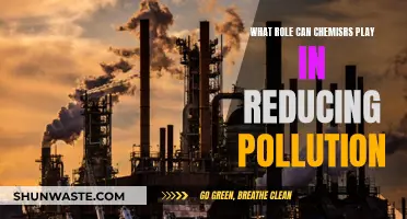 Chemists' Role in Pollution Reduction: Strategies and Innovations