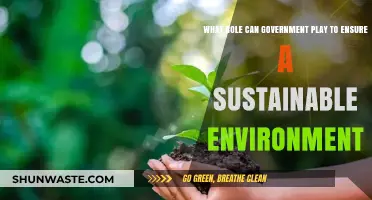Government's Role in Securing a Sustainable Future for Our Planet