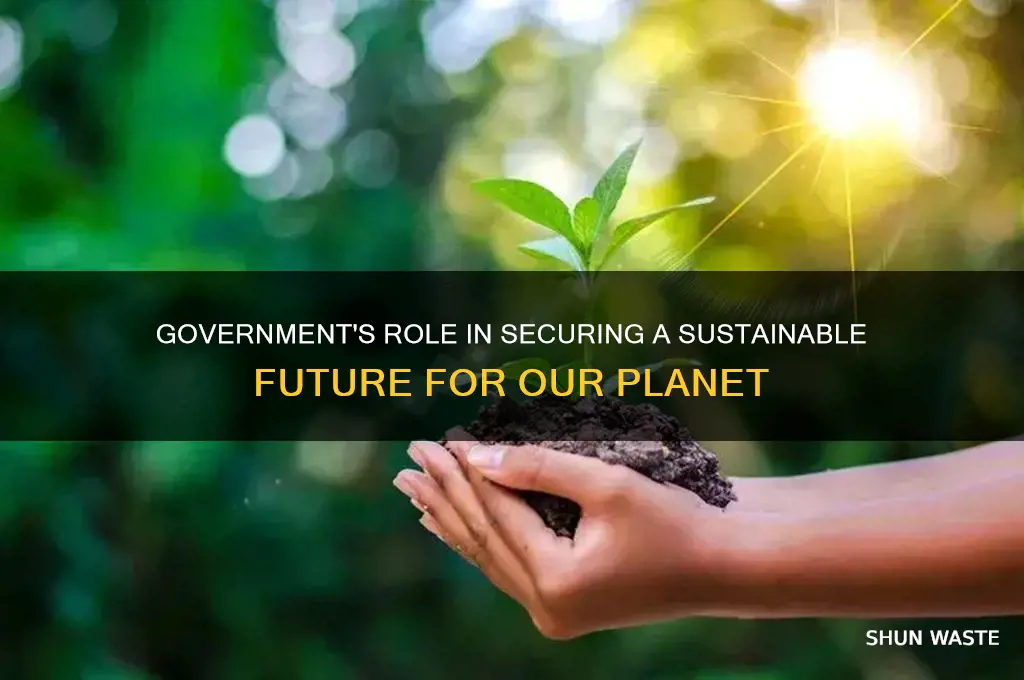 what role can government play to ensure a sustainable environment