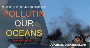 Cruise Ships: Polluting Our Oceans?