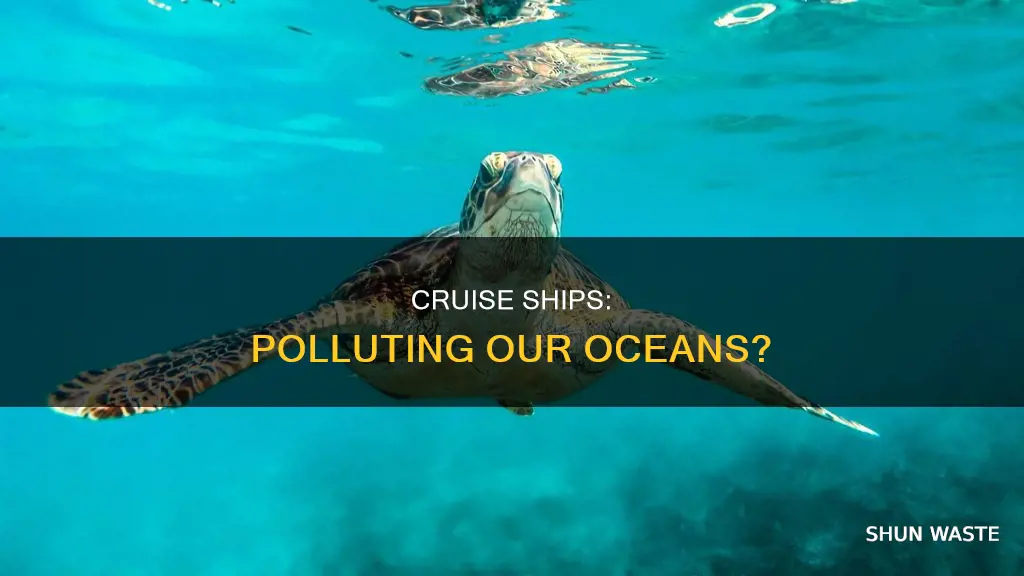 what role do cruise ships have in polluting our oceans