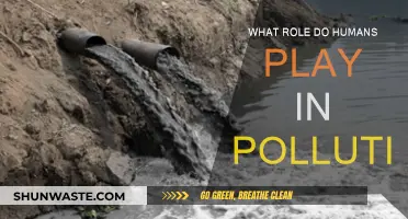 Human Impact: Pollution's Cause and Effect