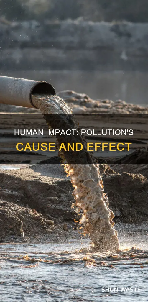 what role do humans play in pollution