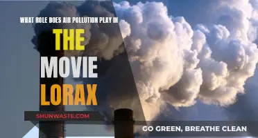 Air Pollution's Impact in Dr. Seuss' Lorax