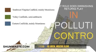Pollution Control: Diminishing Returns and Strategies