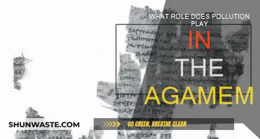 Pollution's Impact on Agamemnon's Fate