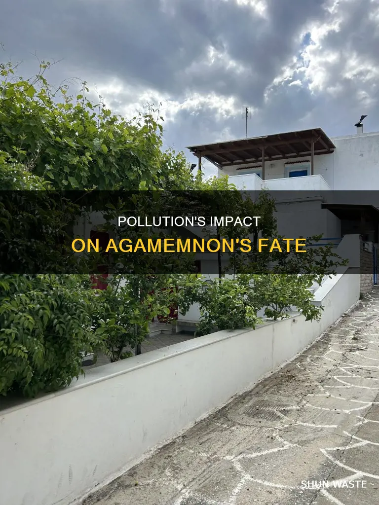 what role does pollution play in the agamemnon