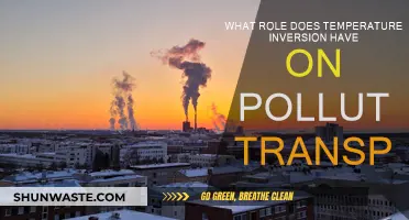 Temperature Inversion Impacts: Pollutant Trapping and Transport